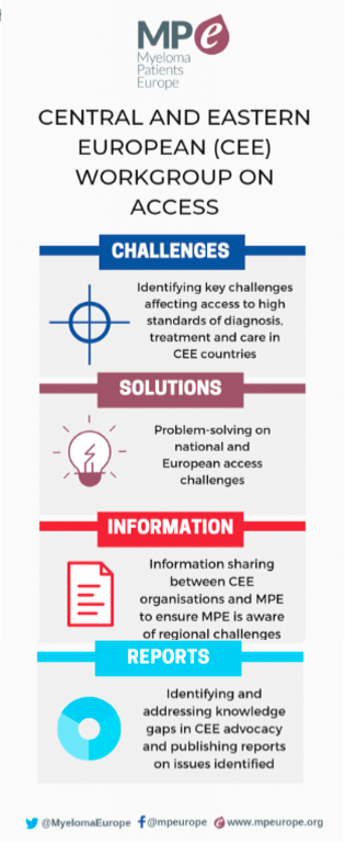 infographic: Central and Eastern European (CEE) Workgroup on Access