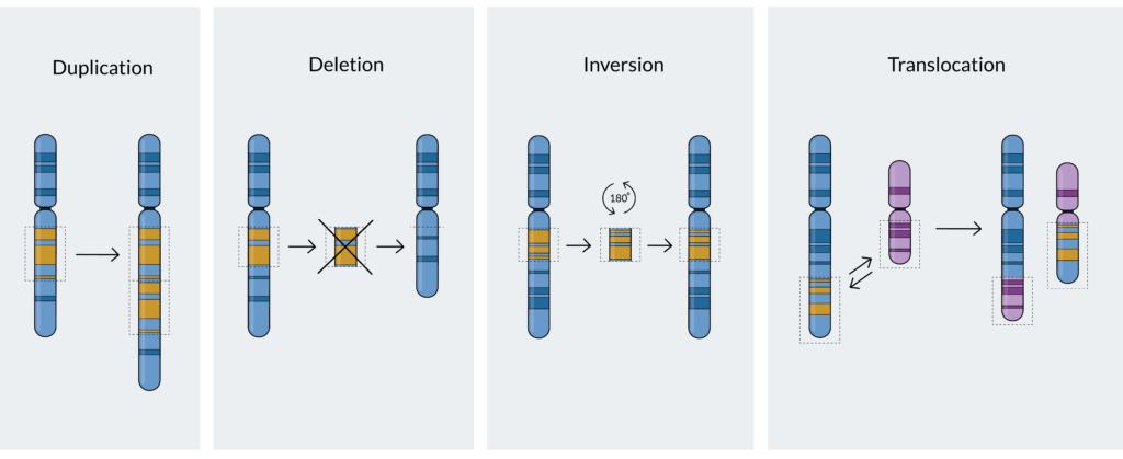 chromosomal changes in myeloma